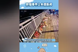 胖猫事件上央视新闻，被批浪费90多吨粮食#胖猫事件 #反转 #娱乐评论大赏 #万万没想到视频封面