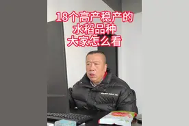 #水稻 #高产水稻前十名的品种 #高科水稻品种 #水稻种植 #水稻价格视频封面