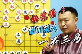 梅花谱惊天妙计，借刀杀人！一石三鸟，快刀斩乱麻 #梅花谱视频封面