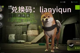 萤火突击保险箱，萤火突击小晴，萤火突击兑换码
兄弟们快去领啊