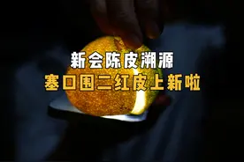 秋高气爽，新会陈皮的二红皮陆续上市了，梅江塞口围、天马原枝视频封面