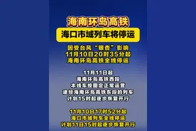 受台风“银杏”影响，全线停运！暂停营业！#海南环岛高铁 #台风“银杏” #全线停运
