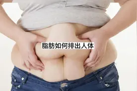 你知道脂肪是如何排出人体的吗？#脂肪 #人体代谢 #人体奥秘