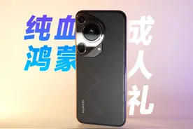 纯血鸿蒙成年礼！鸿蒙NEXT 5.0体验一个月，我发现了亿点点细节！视频封面