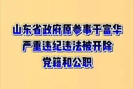 山东省政府原参事于富华严重违纪违法被开除党籍和公职视频封面