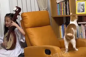 6月16日，山西长治，女孩弹琴猫猫在旁“伴舞”，尾巴随着音乐节奏跳动#节奏大师 视频封面