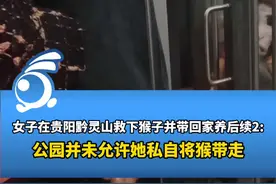 女子在贵阳黔灵山救下猴子并带回家养后续2:公园并未允许她带走视频封面