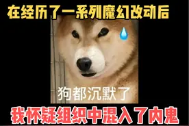 经历了最近一系列魔幻的改动，我怀疑组织里可能混入了内鬼视频封面