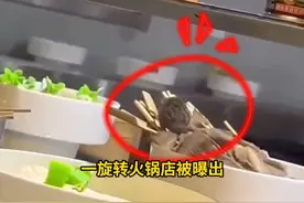 “料理鼠王”出现在现实世界？旋转火锅店里老鼠随锅转动 网友：旋转鼠锅#火锅店 #食品安全 #餐饮卫生 #自助餐视频封面