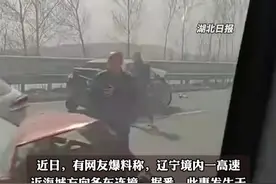 辽宁一高速多车连撞，网友留言称焚烧秸秆引发大雾，当地交警回应仍在调查中。（剪辑：祁泉）视频封面