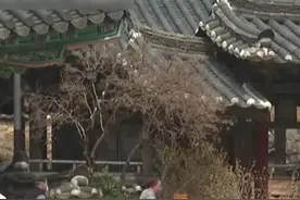 韩国东南部山火继续蔓延，千年古刹孤云寺被烧毁#韩国 #火灾 #寺庙 #海峡新干线视频封面