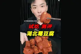 这长毛的豆腐真的还能吃吗？它的味道怎么样？ #霉豆腐 #测评 #试吃 #星仔实测