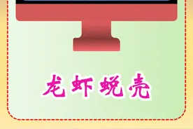 龙虾蜕壳，隔着屏幕都能看到龙虾肉的香味 #动物科普
