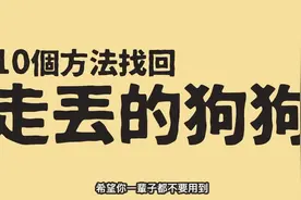 10个方法教你找回走丢的狗狗 #可爱的狗狗 #狗狗 #狗狗百科视频封面