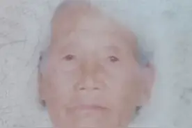 聊城市寻人：八旬老太走失，穿绿底白花短袖、花裤子图片