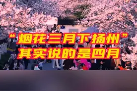 #烟花三月下扬州说的是农历  李白的一句“烟花三月下扬州”，让三月的扬州进入了旅游旺季……但实际上诗中说的“三月”是农历三月，也就是阳历的四月。当地人表示：四月来才是最美的时候！#烟花三月下扬州其实说的是四月视频封面