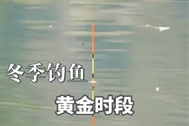 冬季钓鱼这个时间最佳！别再选择钓早晚了，否则将完美错过窗口期视频封面