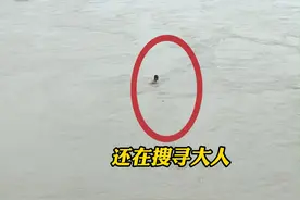 双胞胎兄弟玩水一人被江水冲走，母亲情急下河救人，不料被江水冲走！孩子被路人救上岸， 母亲还在搜救中。（来源：看度新闻）@抖音短视频视频封面