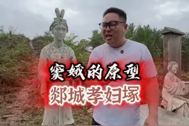窦娥原型你知道是谁吗？ #历史人物 #窦娥 #历史故事视频封面