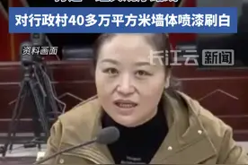 花费财政249.62万！王东霞劳民伤财，“刷白墙”细节披露#反腐倡廉视频封面