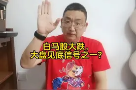 白马股大跌，大盘见底信号之一？ #专属会员圆梦之约视频封面