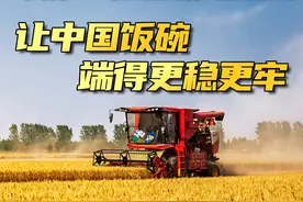 田园风光，是不是你向往的诗和远方~ #两会视频封面