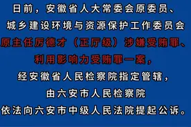 安徽检察机关依法对厉德才涉嫌受贿案提起公诉视频封面