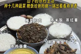 回家种地快一年了，怎么样种的蔬菜还不错吧 @陈饭很忙 给爸妈做的蒸菜一锅出真的很香啊#乡村生活家 #新农人计划2024 #作品同步头条赢激励 #治愈系美食 #种菜视频封面