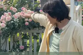 粉龙花色浅？光照一致的情况下，多半是开到后期 #爬藤月季 #粉色龙沙宝石 #爱生活爱养花 #青dou计划 #海蒂的花园 @抖音短视频视频封面