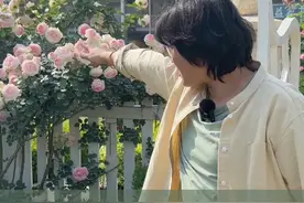 粉龙花色浅？光照一致的情况下，多半是开到后期 #爬藤月季 #粉色龙沙宝石 #爱生活爱养花 #青dou计划 #海蒂的花园 @抖音短视频视频封面