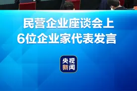 民营企业座谈会上，任正非、王传福、刘永好、虞仁荣、王兴兴、雷军等6位民营企业负责人代表发言。视频封面