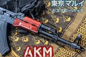 #日本AKM #日本禁枪么 #日本持枪牌照 #100w日元等于多少人民币视频封面