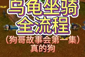 乌龟服乌龟坐骑全流程，18级就可以获得，本周暗月马戏团在联盟方视频封面