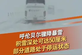 9月29日，内蒙古呼伦贝尔，网友发布视频表示，呼伦贝尔骤降暴雪，部分道路积雪达50厘米。9月30日，《第一现场》记者从内蒙古交通出行服务热线获悉，受降雪影响，截至30日下午3时，G10绥满高速公路仍处于停运状态。雪天路滑，注意出行安全！#呼伦贝尔 #下雪 #积雪 #绥满高速 @抖音短视频 @DOU+小助手视频封面