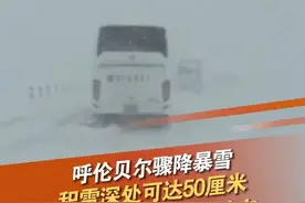9月29日，内蒙古呼伦贝尔，网友发布视频表示，呼伦贝尔骤降暴雪，部分道路积雪达50厘米。9月30日，《第一现场》记者从内蒙古交通出行服务热线获悉，受降雪影响，截至30日下午3时，G10绥满高速公路仍处于停运状态。雪天路滑，注意出行安全！#呼伦贝尔 #下雪 #积雪 #绥满高速 @抖音短视频 @DOU+小助手视频封面