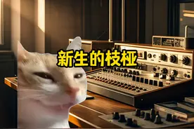 当我成功当上学校广播员……#猫meme #学生时代的回忆视频封面