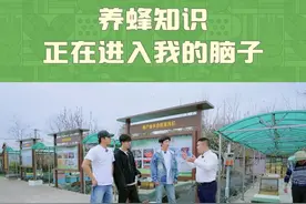 #养蜂知识正在进入我的脑子  @种地吧蒋敦豪  @种地吧李耕耘  @种地吧鹭卓  外出养蜂场学习，老师向大家介绍中蜂和意蜂的区别，以及蜜蜂的种群分工和生命周期！#种地吧视频封面
