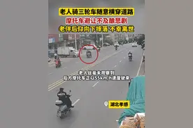 三轮车违法载人太危险，老人从车厢摔落不幸离世#湖北交警 #法润平安文明相伴视频封面