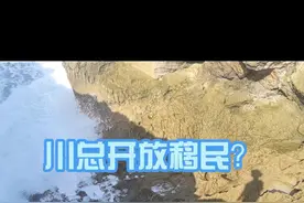 川总开放移民？ #特朗普 #移民 #绿卡视频封面