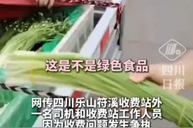 这到底是蒜薹还是韭菜花？司机拉蔬菜被收28元过路费和工作人员“吵翻”#高能 #谁知道这是什么 #同城热门 #搞笑