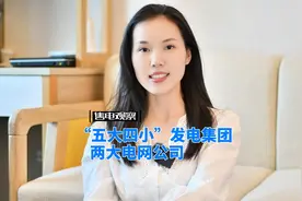 五大四小发电集团 两大电网公司   能源集团
#电网 #电厂#售电视频封面