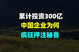 累计投资300亿，中国企业为何疯狂押注秘鲁 #投资秘鲁 #秘鲁 #钱凯港 #经济视频封面