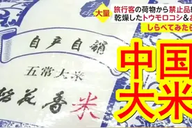 成田机场海关检疫初的日常。中国妹子A带了肉丸、茭白、龙眼视频封面
