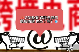 #外贸 #跨境电商 #odi备案 #海外投资视频封面