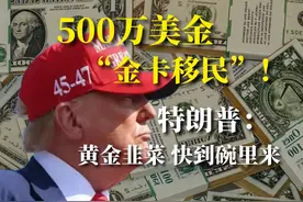 500万美金“金卡移民”！特朗普：黄金韭菜 快到碗里来 #特朗普视频封面