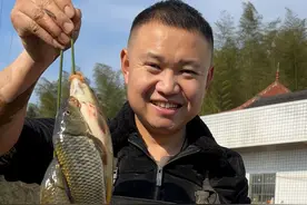 和兄弟们下塘捞一大兜鱼，看农村四哥用大铁锅炖起，共享这欢乐美味！#新农人计划2025 #就问你们馋不馋就完了 #农村美食 #野炊视频封面