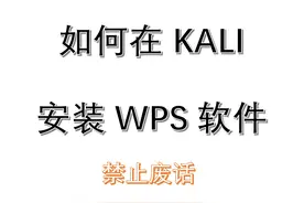 网络安全黑客如何在Kali Linux下载和安装WPS软件 服务小白