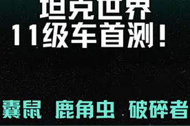 【坦克世界】11级车首发测评！囊鼠 鹿角虫 FV230破碎者