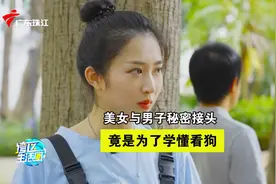 美女与男子秘密接头，竟是为了学懂看狗的表情 #罗飞雁 #刘莹莹视频封面