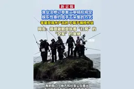 草案二审稿拟规定个人通过娱乐性垂钓或者手工采集的方式零星获得水产品的，不属于捕捞作业，不需要申请捕捞许可证视频封面